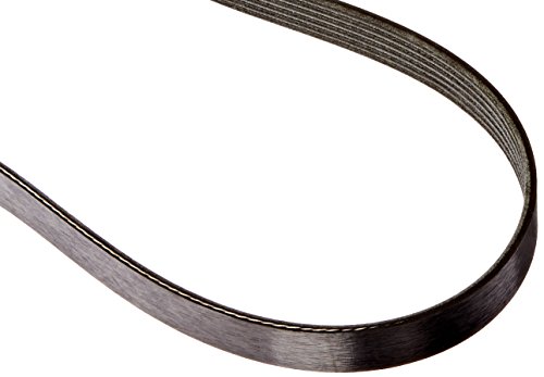 Courroie striée Motorcraft JK61024C de rechange d'origine pour moteur de voiture