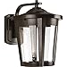 Progress Lighting East Haven LED Collection 1-Light Clear Seeded Glass Transitional Outdoor Large Wall Lantern Light Antique Bronze