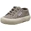 Grey Mushroom C26