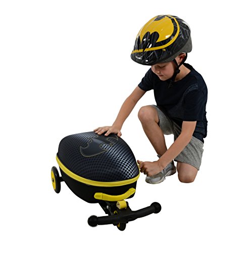 batman scooter case