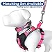 Pawtitas Reflective Dog Harness Padded Dog Harness Provides Comfort Control for a Walk or Running Great Pet Accessories Dog Vest XXS Extra Extra Small Pink Dog Harness
