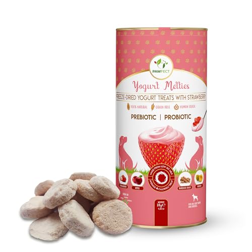 Yogurt Melties Pre and Probiotic Dog Treats - Strawberry | Healthy Gut | Low Calories | Grain & Gluten Free| Also use as reward or Training Treats (1.34oz)