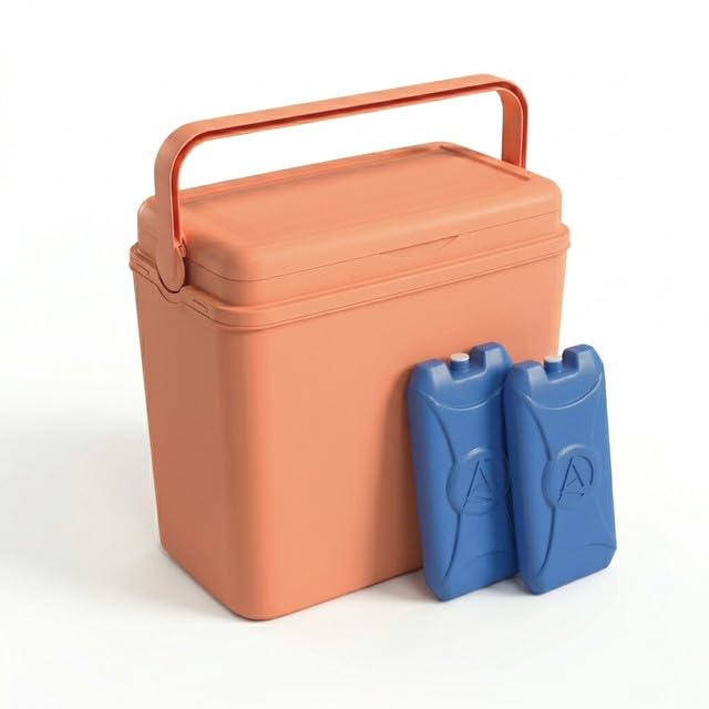URBNLIVING 24L Cooler Box, Insulated Plastic Ice Box with Air Tight Locking Lid & Fold Away Handle, Durable Portable Food & Drinks Storage for Camping Picnic Beach BBQ