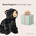 Bearington Asher Plush Black Bear Stuffed Animal - 13