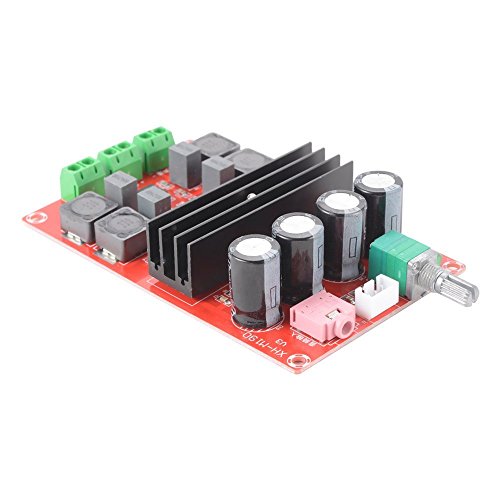 WINGONEER 2x100W TPA3116 D2 doppio canale audio