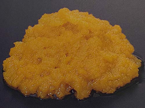 南京 ペースト 100% 500g×20P かぼちゃ 冷凍 業務用