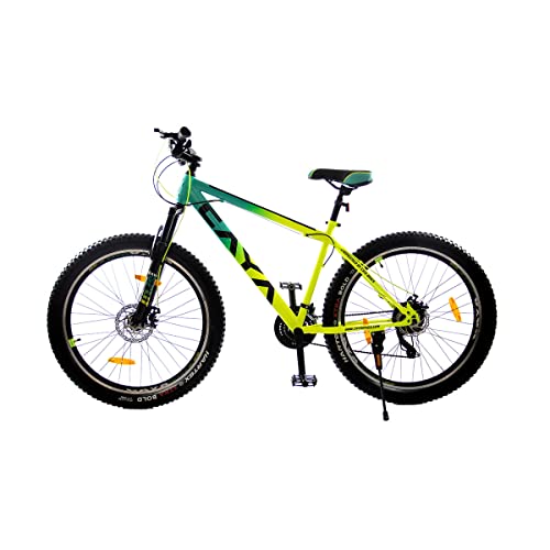 CAYA Split 29” Cycle with Disc Brake 