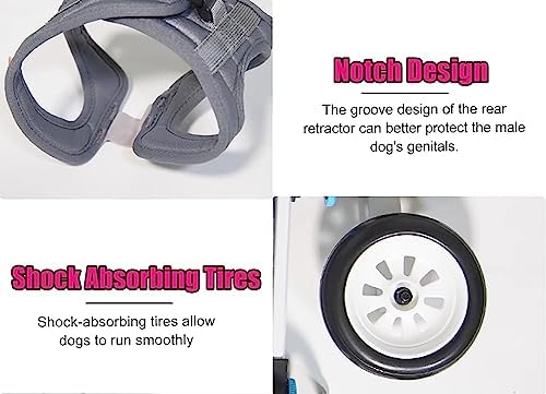 Adjustable Dog Wheelchair for Small Pets, Lightweight Cat Cart with Soft Harness, Ideal for Dogs & Cats with Weak Hind Legs, Rehabilitation & Mobility Support