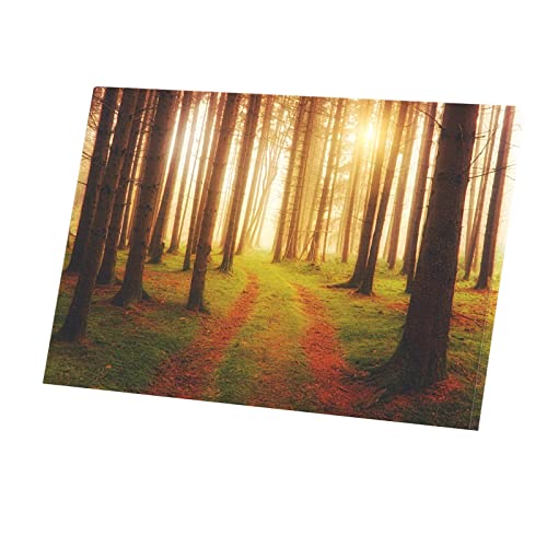 Affiche forêt de pins au soleil pour ambiance salon zen