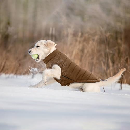 Image of Lelepet Reversible Dog Coat Windproof Dog Jacket Lightweight Puffer Vest