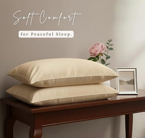 Image of BSB HOME Luxury Satin Silk Pillow Cover | 300 TC Ultra-Smooth Silky Finish | Premium Home Bedding Pillowcase | Soft, Glossy & Skin-Friendly Fabric | 18 x 28 Inches (Pale Moonstone)