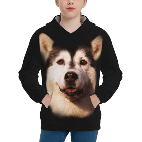 Alaskan Dog Boy, Girls Sports Shirt Youth Pullover Fashion Hooded Sweatshirt3