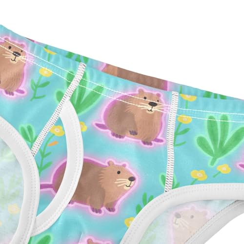 GuoChe Toddler Essentials Boy Cotton in Sizes 2T,3T, 4T, 5T, 6Y and 8Y4