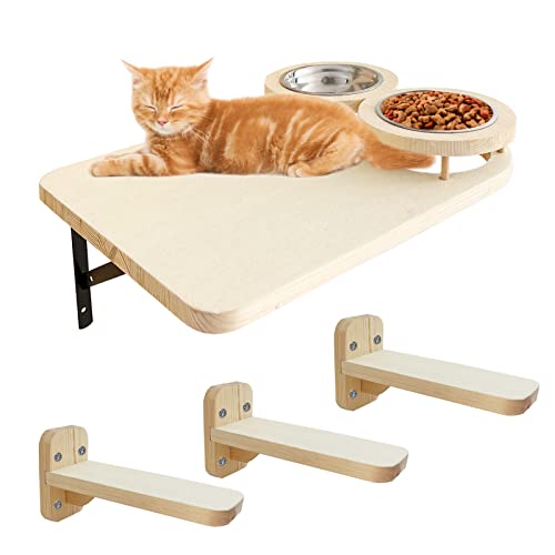 Top 10 Wall Mounted Cat Shelves of 2022 Katynel