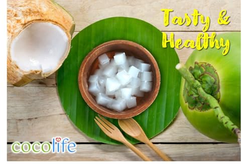 Image of Cocolife Nata De Coco 10mm Coconut Jelly (1kg) | Premium Chewy Coconut Cubes | Ready-to-Eat Dessert Topping | Perfect for Bubble Tea, Fruit Bowls, Ice Cream & Drinks | Refreshing Low-Fat Tropical Snack
