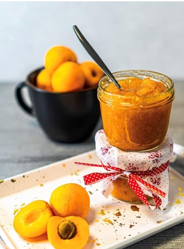 RUF Gelier-Fruchtzucker 3 zu 1, Gelierpulver und Zucker kombiniert, nur Früchte oder Fruchtsaft hinzufügen, Geliermittel glutenfrei & vegan, 1 x 500g