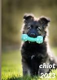 calendrier chiots 2023: Calendrier chiot chien animaux nature 2023 : 24 Photos en couleur hautes résolutions - Janvier 2023 à Décembre 2023 - ... planification pour vos rappels journalier