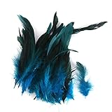 ノーブランド品 100枚 Diy 手芸用 クラフト用 オンドリの羽 雄鶏 羽 装飾用羽根 軽量 12 018cm 4色選べる ブルー Amazon 楽天 ヤフー等の通販価格比較 最安値 Com