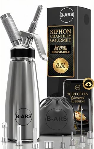 B-ARS Siphon Chantilly Acier Inoxydable 500 ML Boissons Mousses Chantilly Avec Buses Décoratives Aiguilles Accessoires Sac Nettoyage Livre Recettes Matériaux Durables Facile À Utiliser.