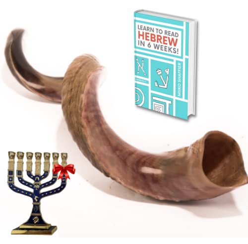 Kosher Kudu Shofar from Israel, Officially Signed Certificated Yemenite Kudu Shofar, Made in Israel, Free Bonus Book: Learn to Read Hebrew in 6 Weeks (43"-45", Fully Polished)