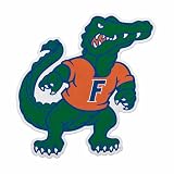 Rico Industries NCAA Florida Gators Mascot Shape Cut Pennant - Home and Living Room Décor - Soft Felt EZ to Hang