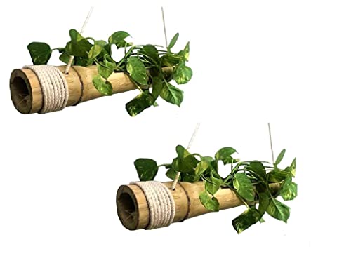 Hanging Bamboo Flower Pot (Pack of 2)
