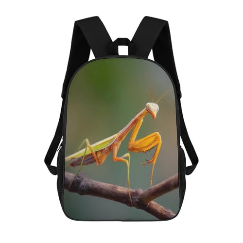 Malaysia Praying Mantis Insect 17inch Laptop Backpack