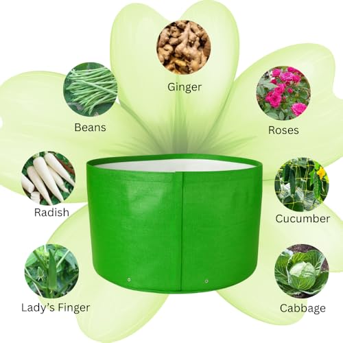 Image of 18x12 Inch HDPE Grow Bag (340 GSM) | UV Protected, Reusable, Heavy Duty Garden Bag for Vegetables, Flowers & Herbs - Pack of 2