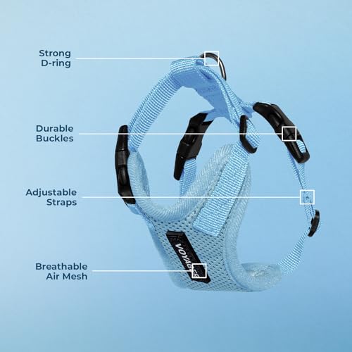 Image of Voyager Step-in Pet Harness - All Weather Mesh, Adjustable Step in Harness for Cats and Dogs by Best Pet Supplies - Baby Blue, XS