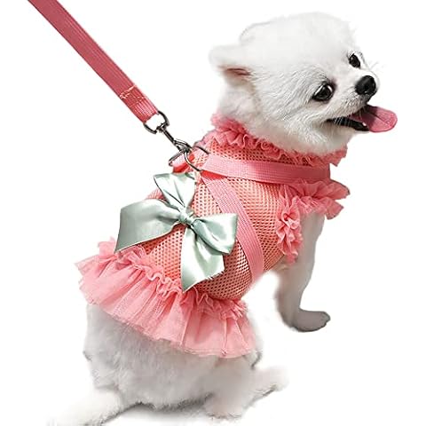 HRTTSY Small Dog Harness and Leash Set No Pull Puppy Vest Harnesses Soft Adjustable Breathable Mesh Escape Proof Cute Bow Pet Dog Harness Dress for Puppies and Small Dogs Cats(Watermelon red,XS) Cover