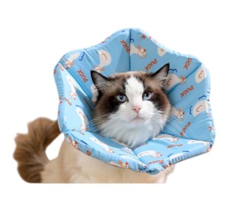 Fiozwea GUxXJ[ ߉\ Lp rߖh~Eݖh~ O[~OLbv N[jOJ[ ybgpi (30CM,C)