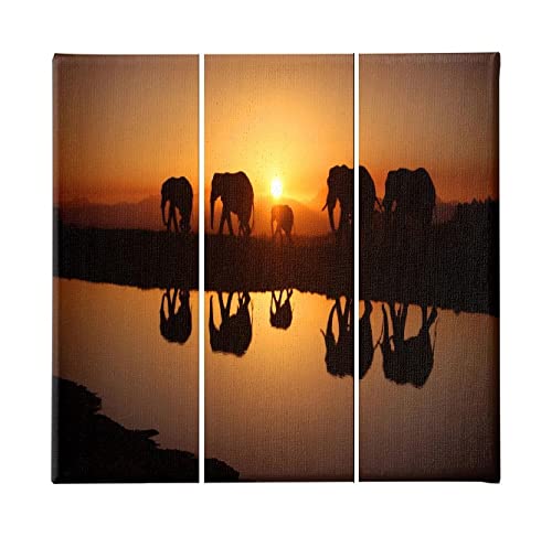 Tableau Eléphant 3 pièces Homemania : cadre déco animaux multicolore 69x50cm
