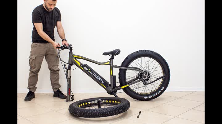 Argento Elephant, Bicicletta Elettrica,FAT Bike a pedalata assistita,  Assicurazione AXA \
