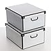SET DE DOS Cajas de almacenamiento en cartón, tamaño grande, 2 unidades, modelo 4