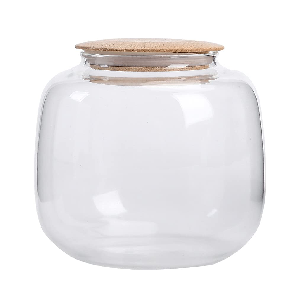 Gewürzdosen, Vorratsdosen for die Küche, Kanister, 1 Stück Glasdosen, Frischhaltedosen mit luftdichtem Verschlussdeckel, tragbare Vorratsdosen for Tee, Kaffee, nützliches Behälterset