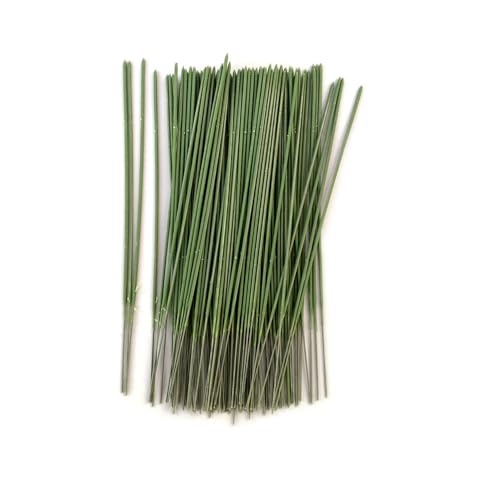 CMFTGDS 100pcs Floral Stem Wire,Artificial Flower Rod Making Accessories Floral Wire for Florist Flower Arrangement Bouquent Stem Wrapping and DIY (25cm/9.8inch)