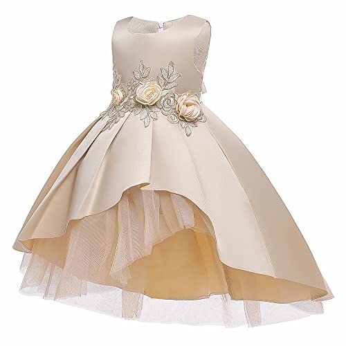 Flower Girl's Wedding Party Dress Princess Birthday Pageant Formal Ball Gown Prom2