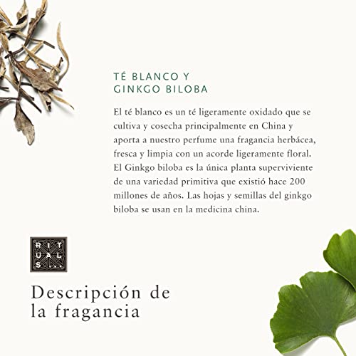 Crema-Corporal-RITUALS-de-The-Ritual-of-Karma-con-Loto-Sagrado-y-Te-Blanco-Propiedades-Hidratantes-y-Refrescantes
