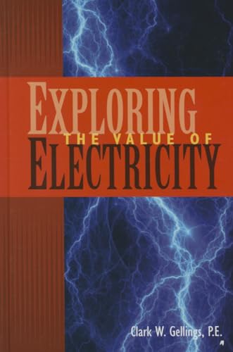 Exploring the Value of Electricity