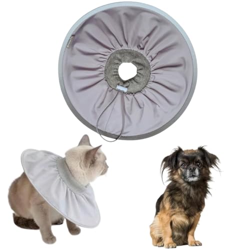 Lifetips`x^XpjG `xXpLp GUxXJ[ h \tg y pPA ی Ȃߖh~ p EȒP 􂦂 PAJ[([~XgO[j(Lj