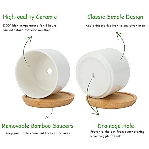 Warmplus White Succulent Plant Pots - Mini Ceramic Cactus Planter With Drainage Hole And Bamboo Tray For Indoors Outdoor Office Home Garden Kitchen Decor, Plants Not Included, Pack Of 12 #TOP1