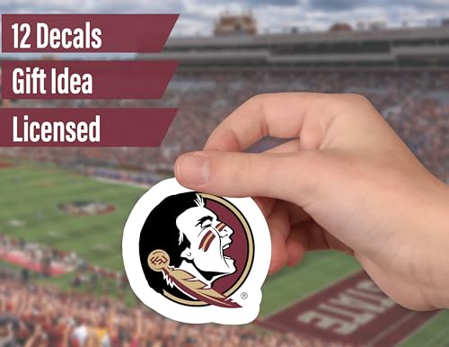 Image of Florida State Seminoles Stickers & Decals 14 Pc Set, FSU Car Decal