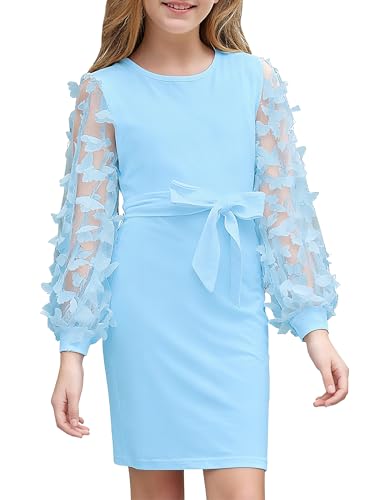 ALISISTER Girls Blue Dress Size 7 Puff Long Sleeve Butterflies Dresses