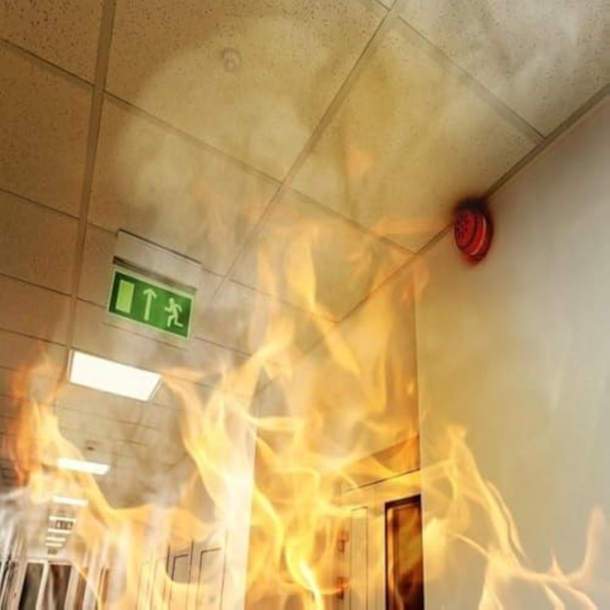 Fire Retardant Paint ST, Resistant Coatings for Metal & Wood