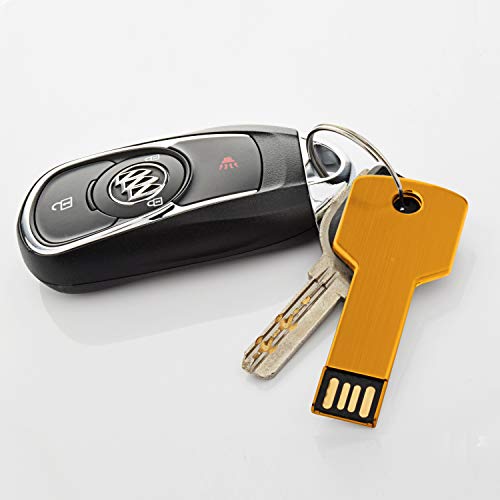 Raoyi 10 Pack 2Gb Usb Flash Drive Usb 2.0 Metal Key Shape Memory Stick Thumb Drive Pen Drive-Gold #TOP6