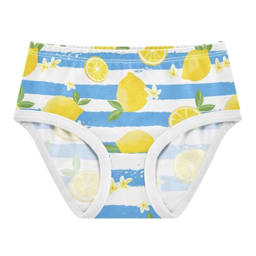 Wusikd Lemon Blue White Stripes Girls' Underwear Cotton Girls Briefs Soft Toddler Underwear 2T