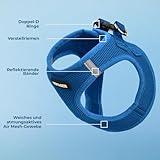 Voyager Step-In Air Hundegeschirr by Best Pet Supplies - All Weather Mesh Step in Vest Harness für kleine und mittlere Hunde, Königsblau, size L - Brust 45-52 cm