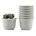 T4U 5.75 Inch Plastic Round succulent Plant Pot/Cactus Plant Pot Flower Pot/Container/Planter Package 1 Pack of 8