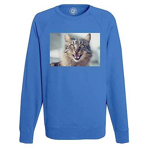 Sweatshirt Homme Chat Tigré, idée cadeau idéale pour homme aimant les animaux