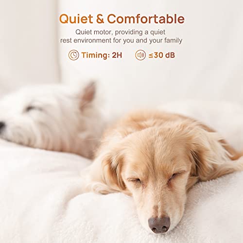 Werbuy 16'' Ceiling Fans With Lights And Remote App Control, Low Profile Flush Mount Small Ceiling Fan For Bedroom Kitchen Tv Room With 6 Speeds/Quiet Reversible Dc Motor/Smart Timing -3 Abs Blades #TOP2